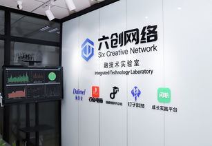 山東六創(chuàng)科技公司黛玲美研發(fā)中心獲評(píng)融技術(shù)實(shí)驗(yàn)室 強(qiáng)化信息技術(shù)咨詢服務(wù)能力